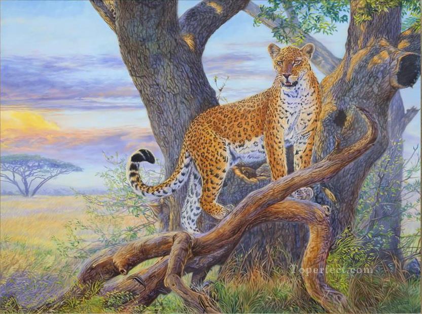 leopard 29 Oil Paintings